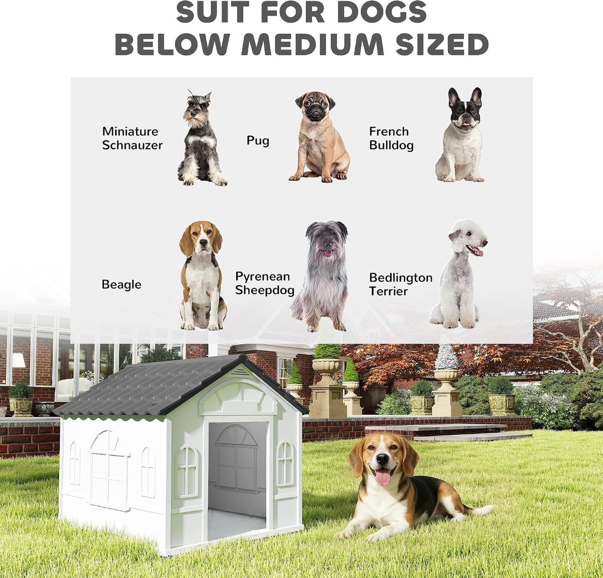 Plastic Dog House for Medium and Small Dogs, Water Resistant Puppy Shelter Indoor Outdoor with Door, Easy to