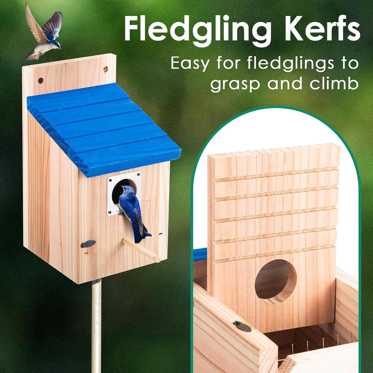 2 Pack Bluebird House for Outside, Blue Roof, Wood