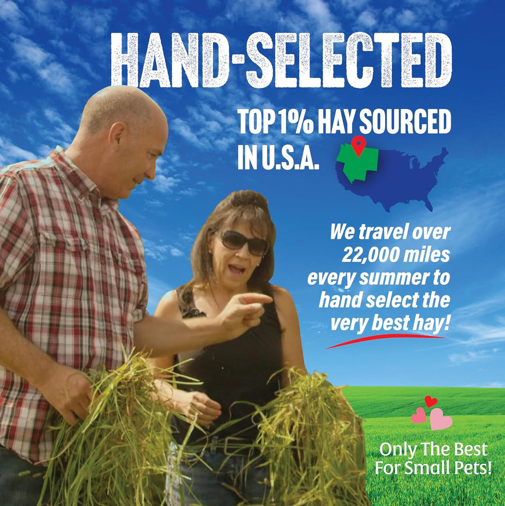 1st Cutting Timothy Hay for Rabbits & Guinea Pigs, 2 lb | High Fiber Natural Hay, Grown in USA, Long Coarse Strands