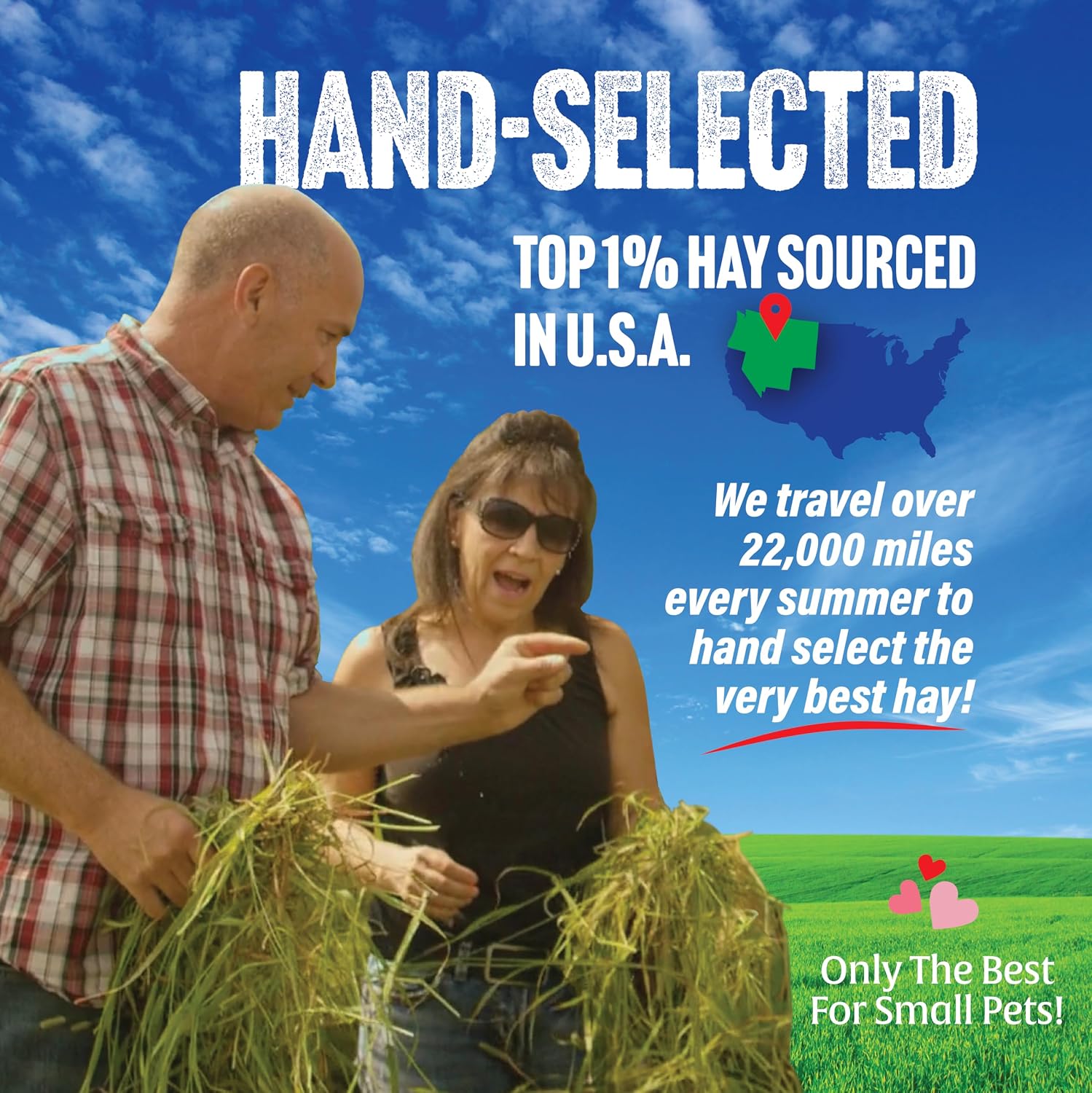 1st Cutting Timothy Hay for Rabbits & Guinea Pigs, 2 lb | High Fiber Natural Hay, Grown in USA, Long Coarse Strands