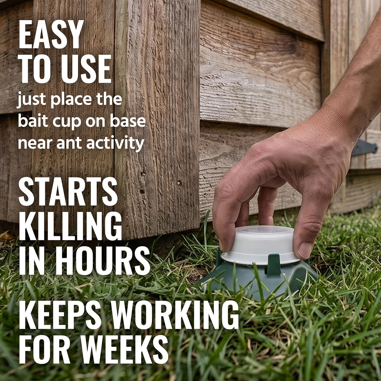 T1804-6 Outdoor Ready-to-Use Liquid Ant Bait Killer and Trap - Kills Common Household Ants - 4 Bait Stations |