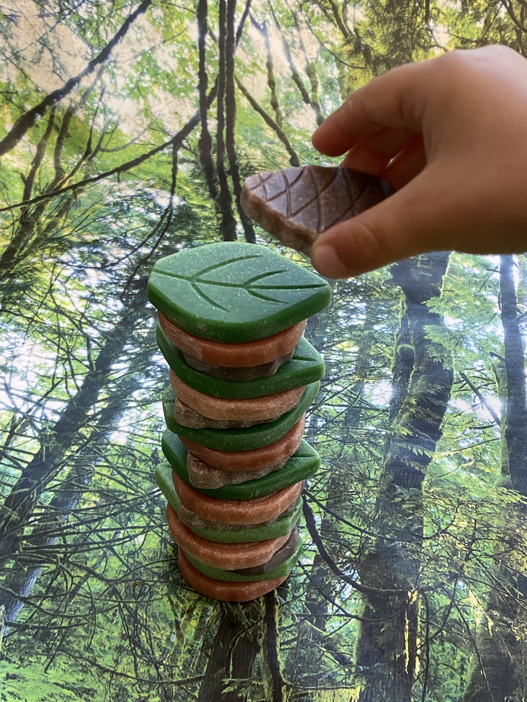 Scenery Stones – Forest Play, Set of 18