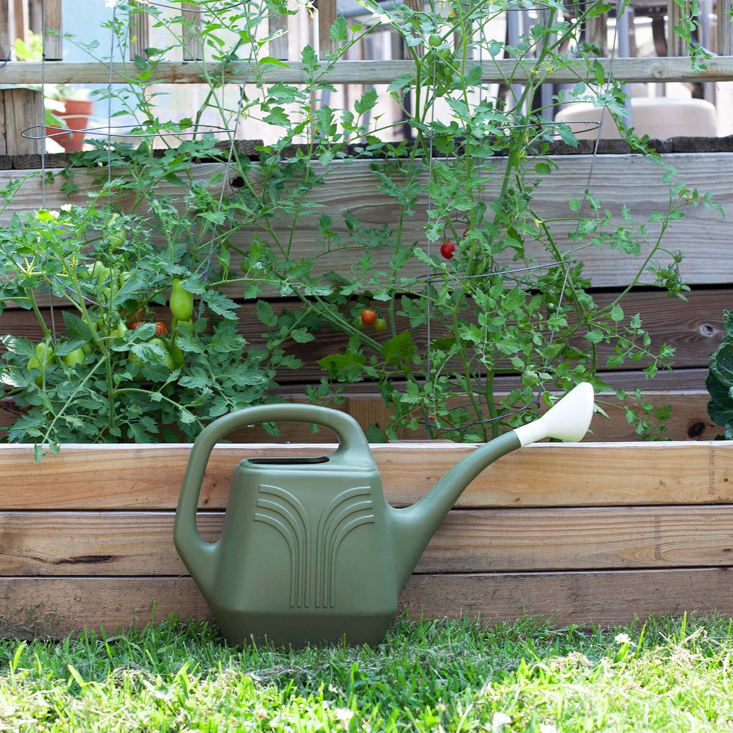 Promo Watering Can: 2 Gallon Capacity - Living Green - Durable Resin, Removable Nozzle Spout, Two Handles, Wide Mouth