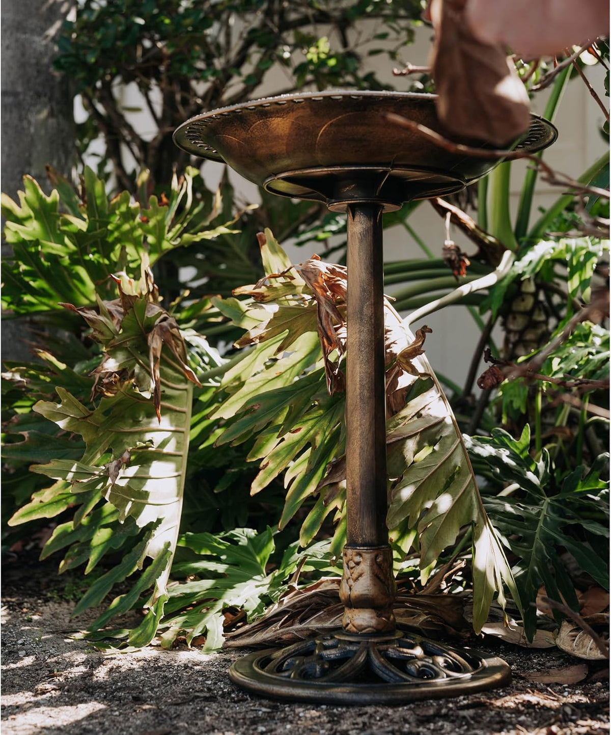 Backyard Expressions Bird Bath for Outside, 30 in Pedestal Birdbath, Bronze