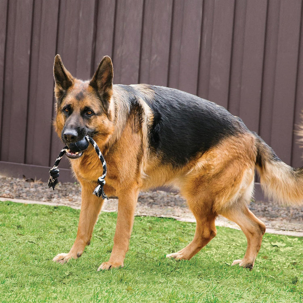 Extreme Ball with Rope - Dog Fetch Toy with Rope for Easy Throwing - Durable Dog Ball Toy for Tug, Playtime & More s