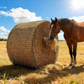 5x5ft Round Bale Hay Net for Horses Slow Feed, Knotless Feeder