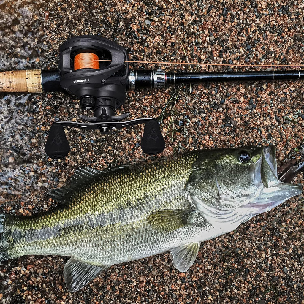 Torrent II Baitcasting Reel, 20LB Drag, Magnetic Brake | Smooth casting, 6+1 bearings, 6.75 oz body, 6.6/8.1