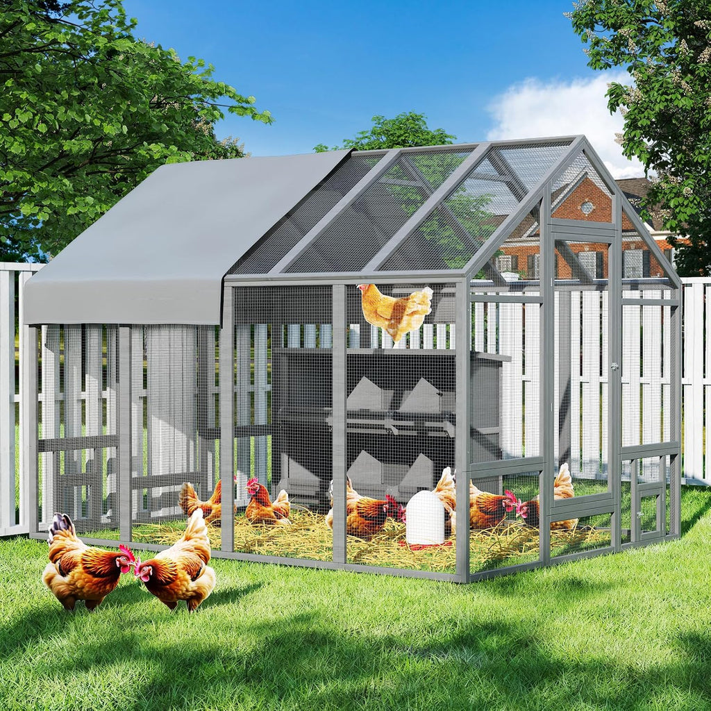 Large Wood Chicken Coop with Nesting Box for10-12 Chickens, Gray