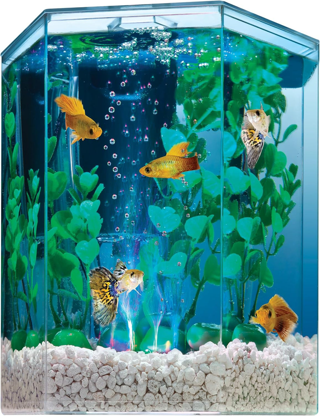 Starter 1 Gallon Small Fish Tank Kit for Freshwater Fish