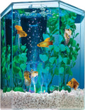 Starter 1 Gallon Small Fish Tank Kit for Freshwater Fish