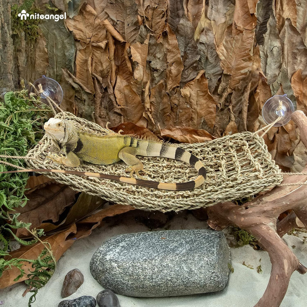 Bearded Dragon Seagrass Hammock: Rectangle 16"x 8" & Suction Cups