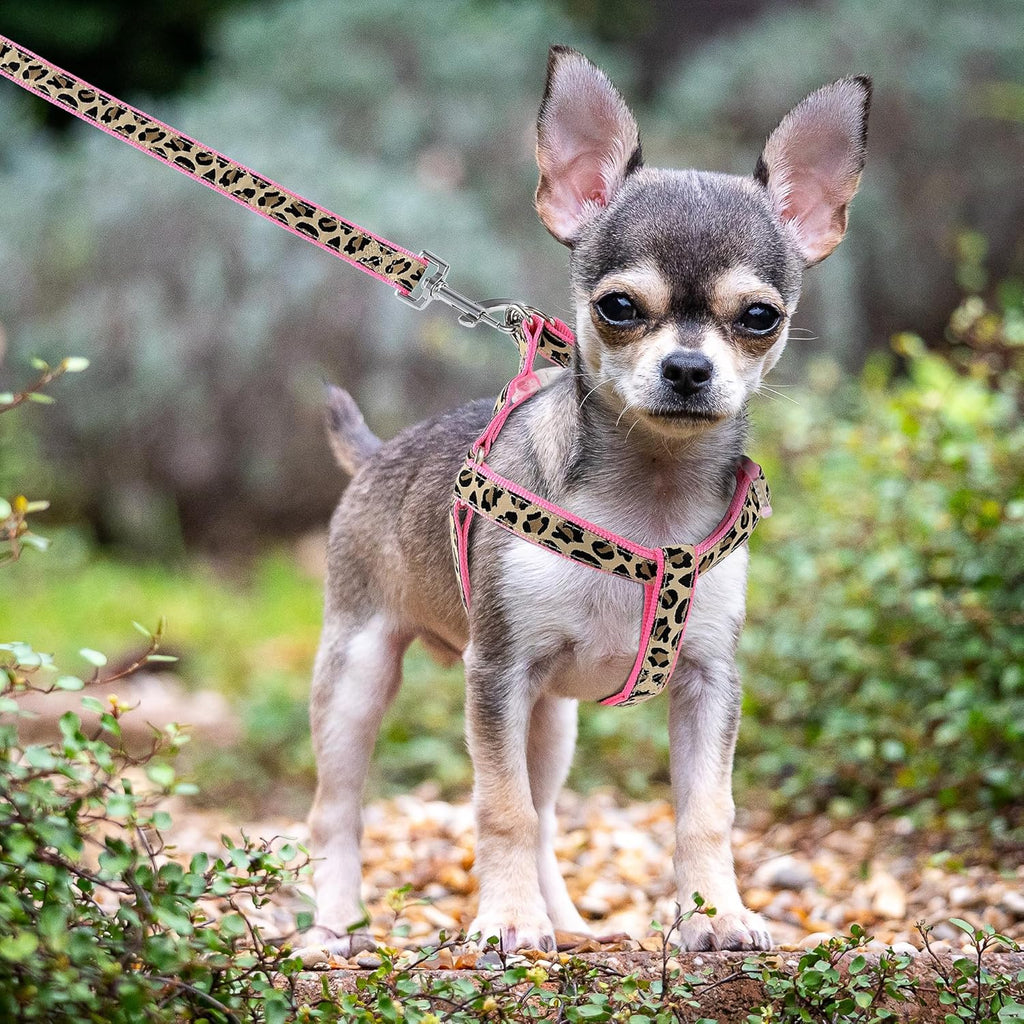 Leopard Dog Harness Collar Leash Set, Adjustable No Pull Dog Halter Harness for Small Breed Dogs, Easy Control for