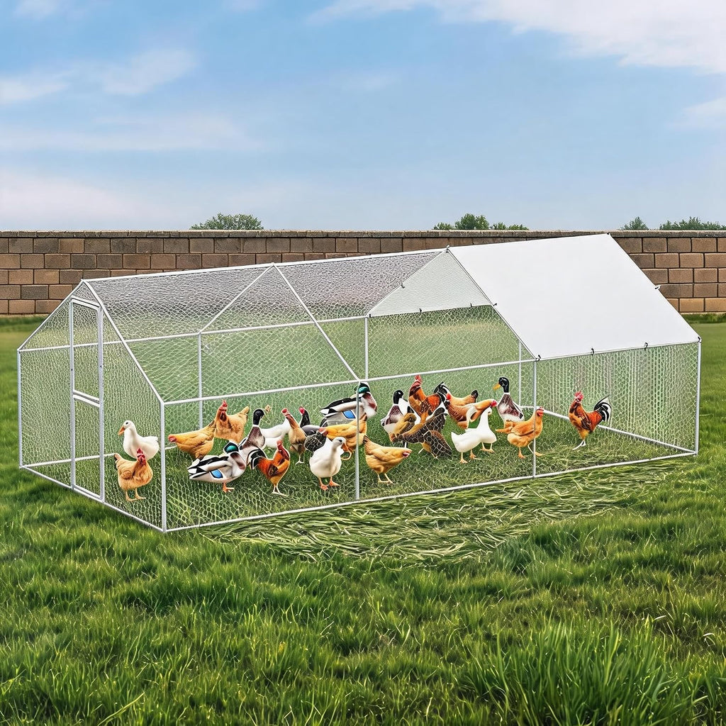 Chicken Coop with Run, Walk-in Metal Gable Roof Outdoor Pen