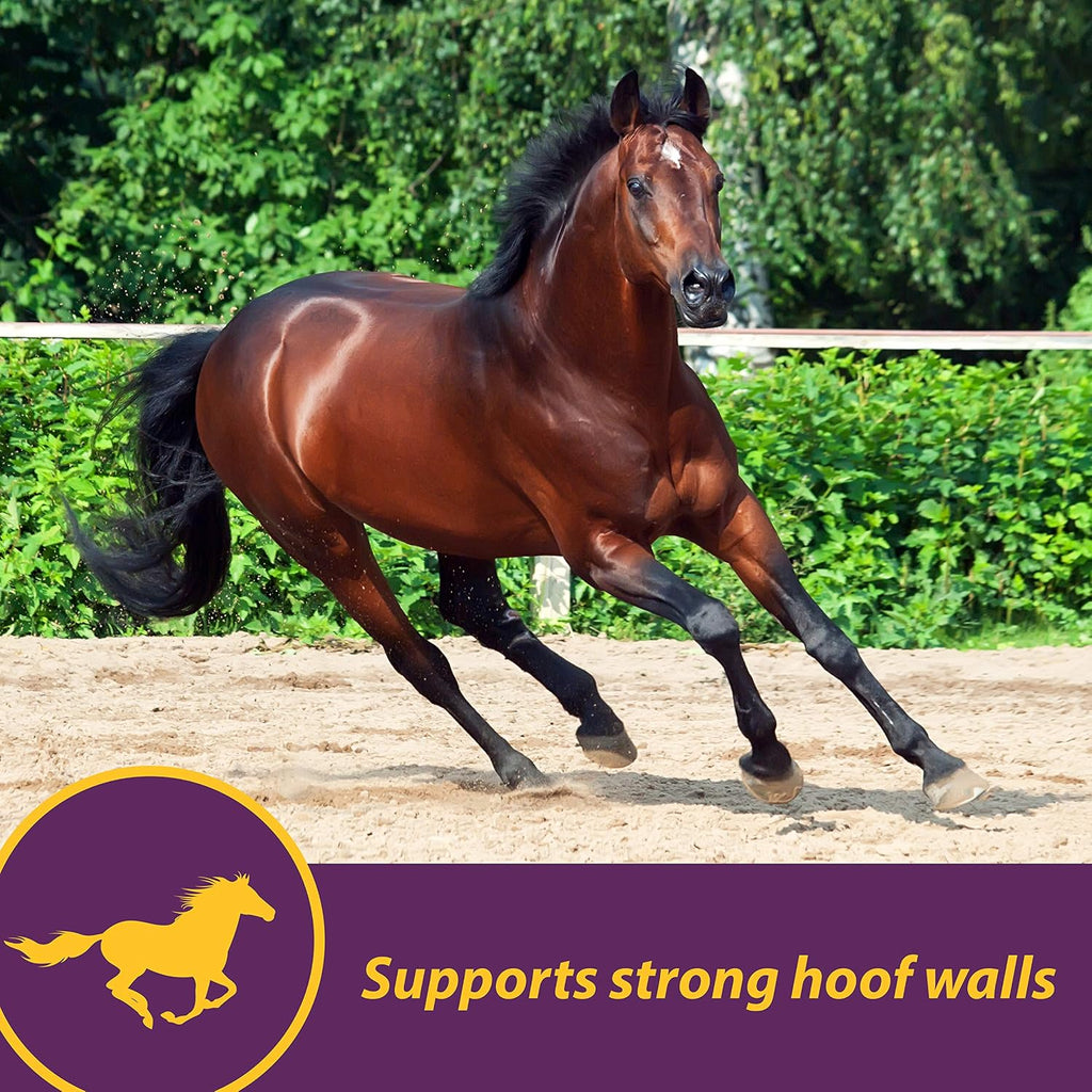Vita Biotin Crumbles Horse Hoof Supplement, 3 lbs