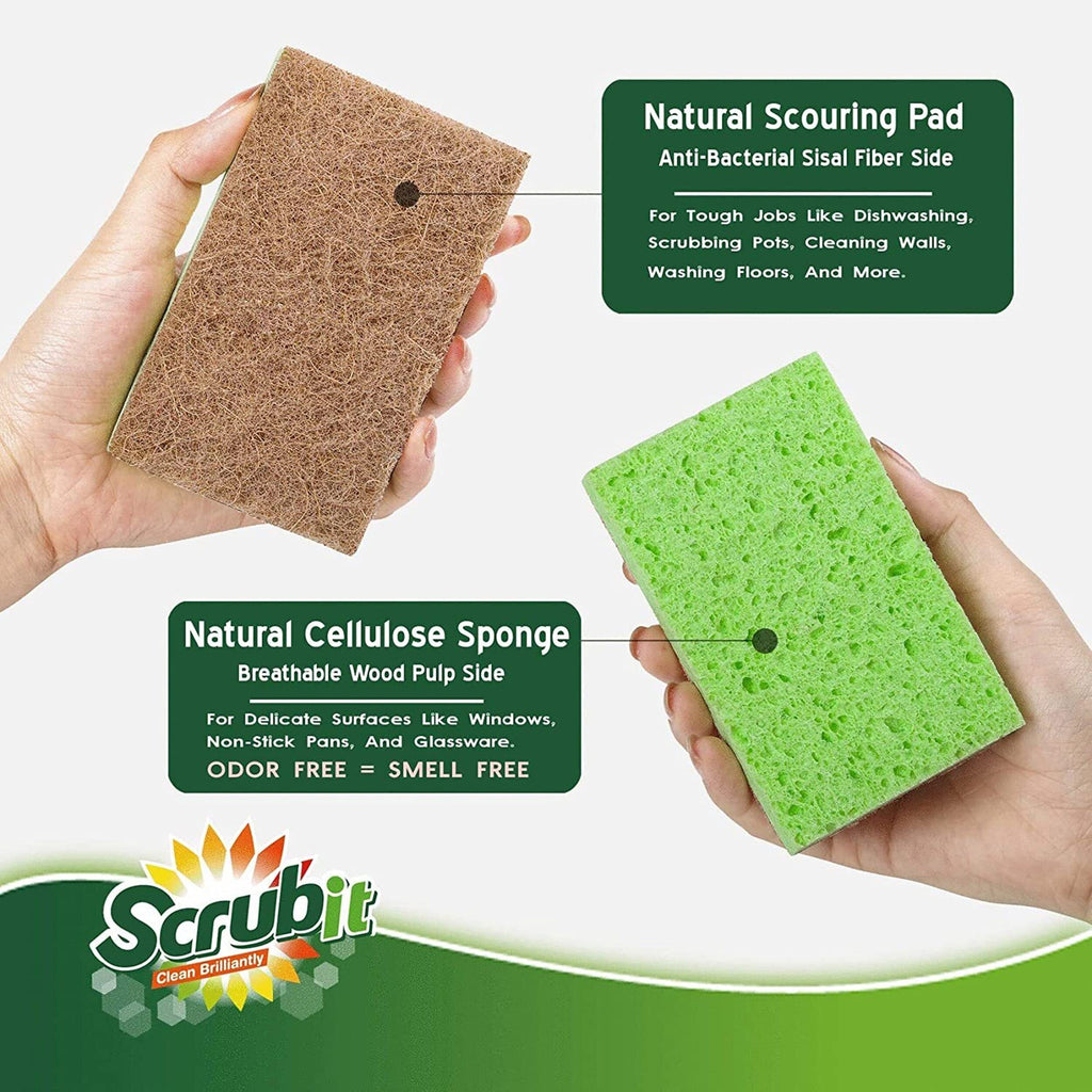 Natural Sponges - 10 Pack Biodegradable Compostable Cellulose and Coconut Natural Sponges for Dishes, Eco Friendly