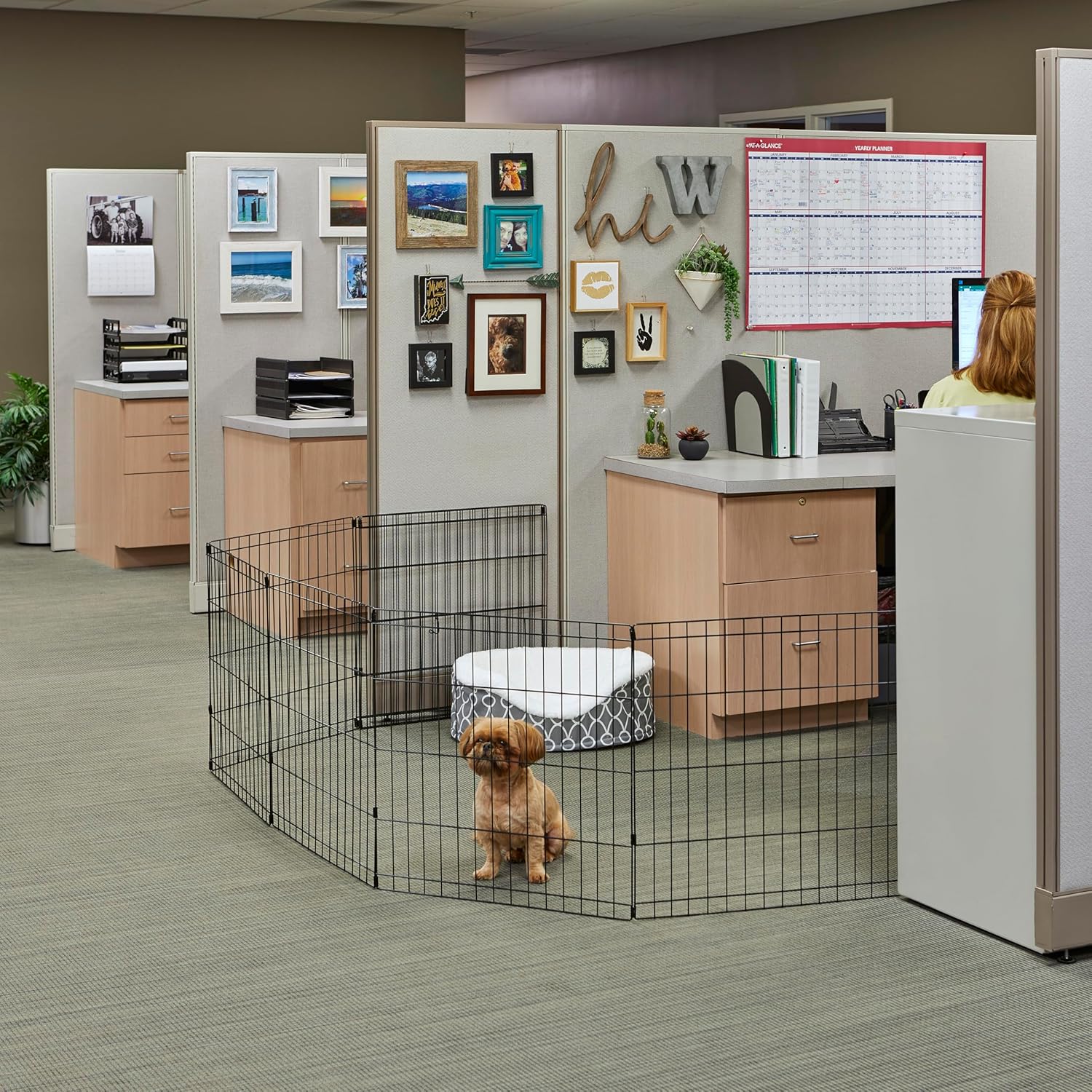 Folding Metal Puppy / Dog Exercise Pen, Indoor/Outdoor Playpen with No Door, Provides 16 Sq Feet of Play Space