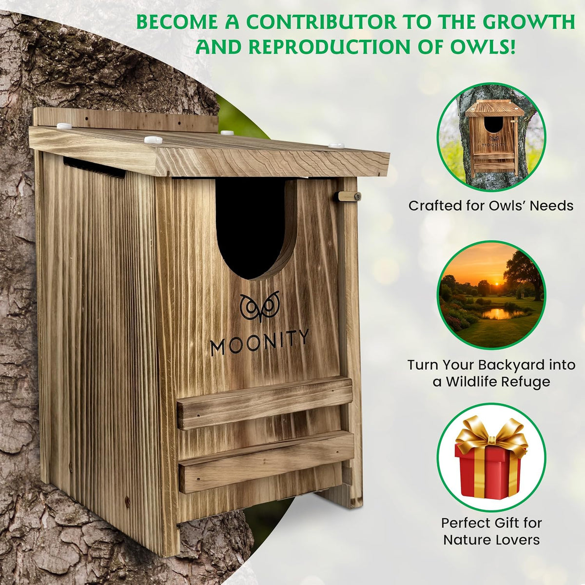 Fire-Treated Cedar Owl House – 14" x 9" x 9" All-Season Nesting Box for Screech, Kestrel & More – Durable