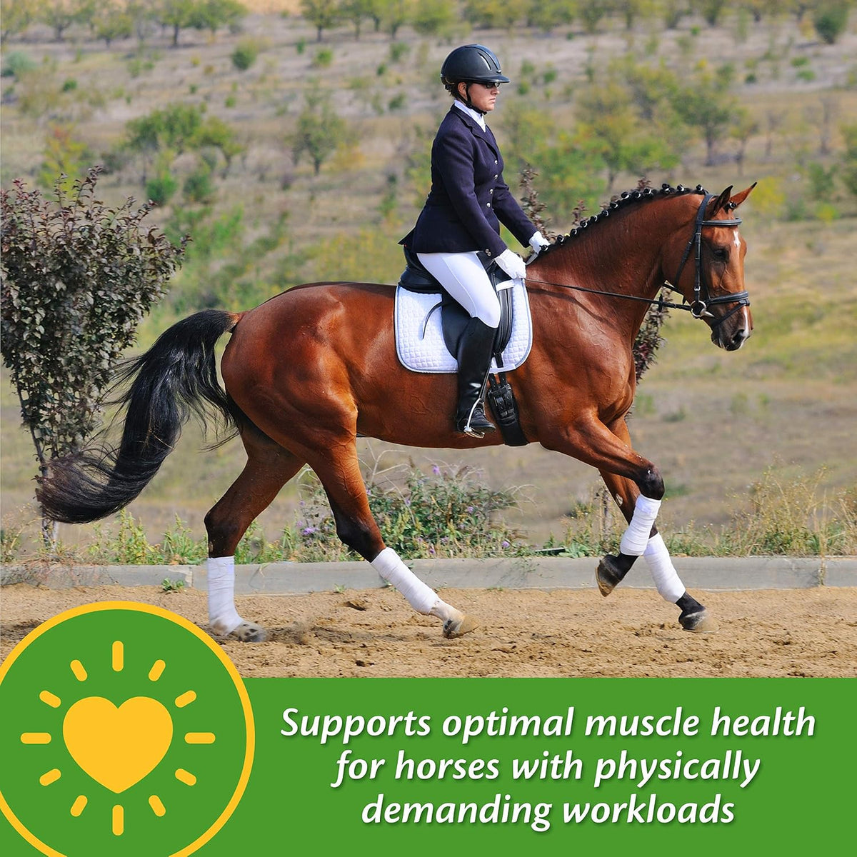 Vita-Min E & Selenium Antioxidant Supplement for Horses, Horse Vitamin E Supplement, Muscle Health and Peak