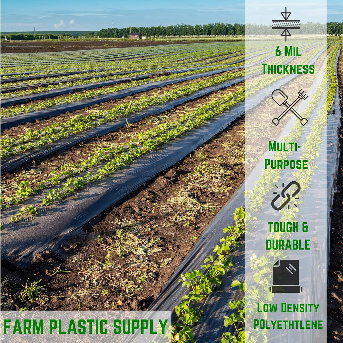 Black Plastic Sheeting - 6 mil - (14' x 100') - Black Tarp, Polyethylene Vapor Barrier Sheeting, Painters Tarp, Roll