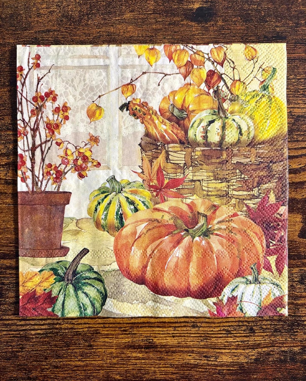 IHR Ideal Home Range Cocktail Napkins Disposable 3-Ply Paper Party Napkin Pack, 5" x 5", Heirloom Pumpkins, 20-Count
