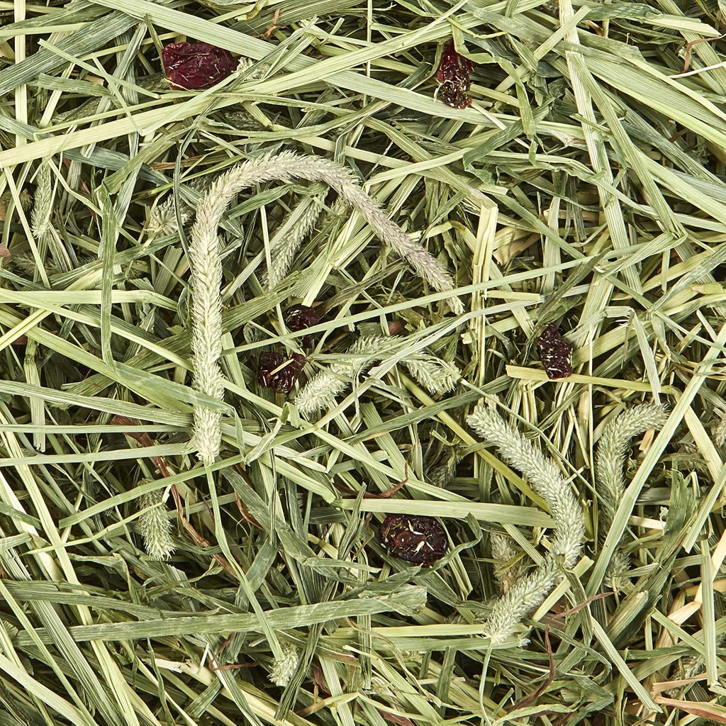 All Natural Timothy Hay Plus Carrots for Guinea Pig & Rabbit | Digestive support. Guinea pig hay with carrots. Rabbit