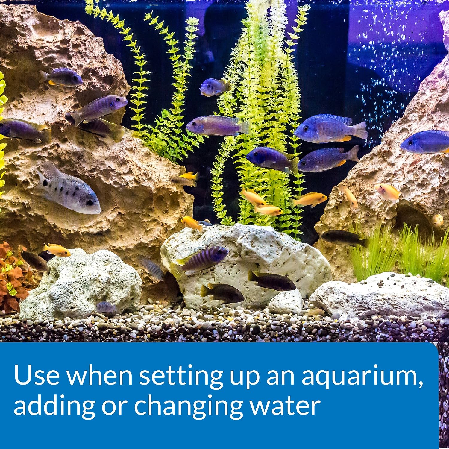 TAP WATER CONDITIONER Aquarium Water Conditioner 16-Ounce Bottle
