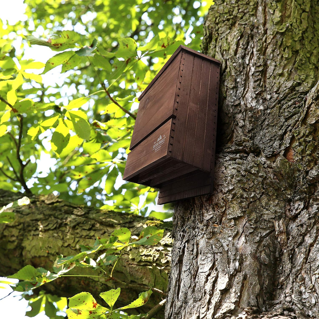 Bat House for Outdoors, Japanese Cedar, 3 Chamber, Brown