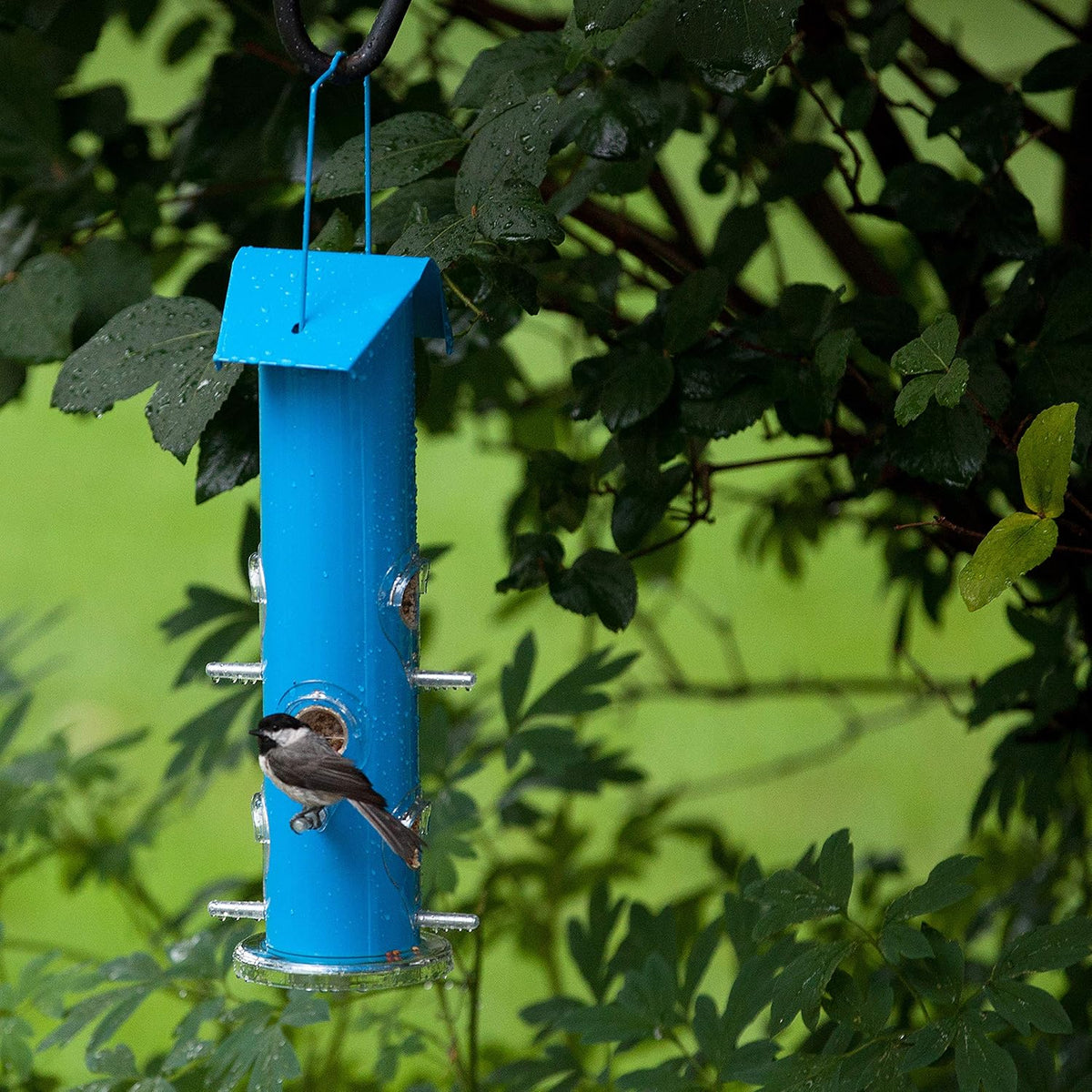 Blue Metal Tube Wild Bird Feeder - 1 lb Capacity for Wild Bird Seed - Durable Construction - 391