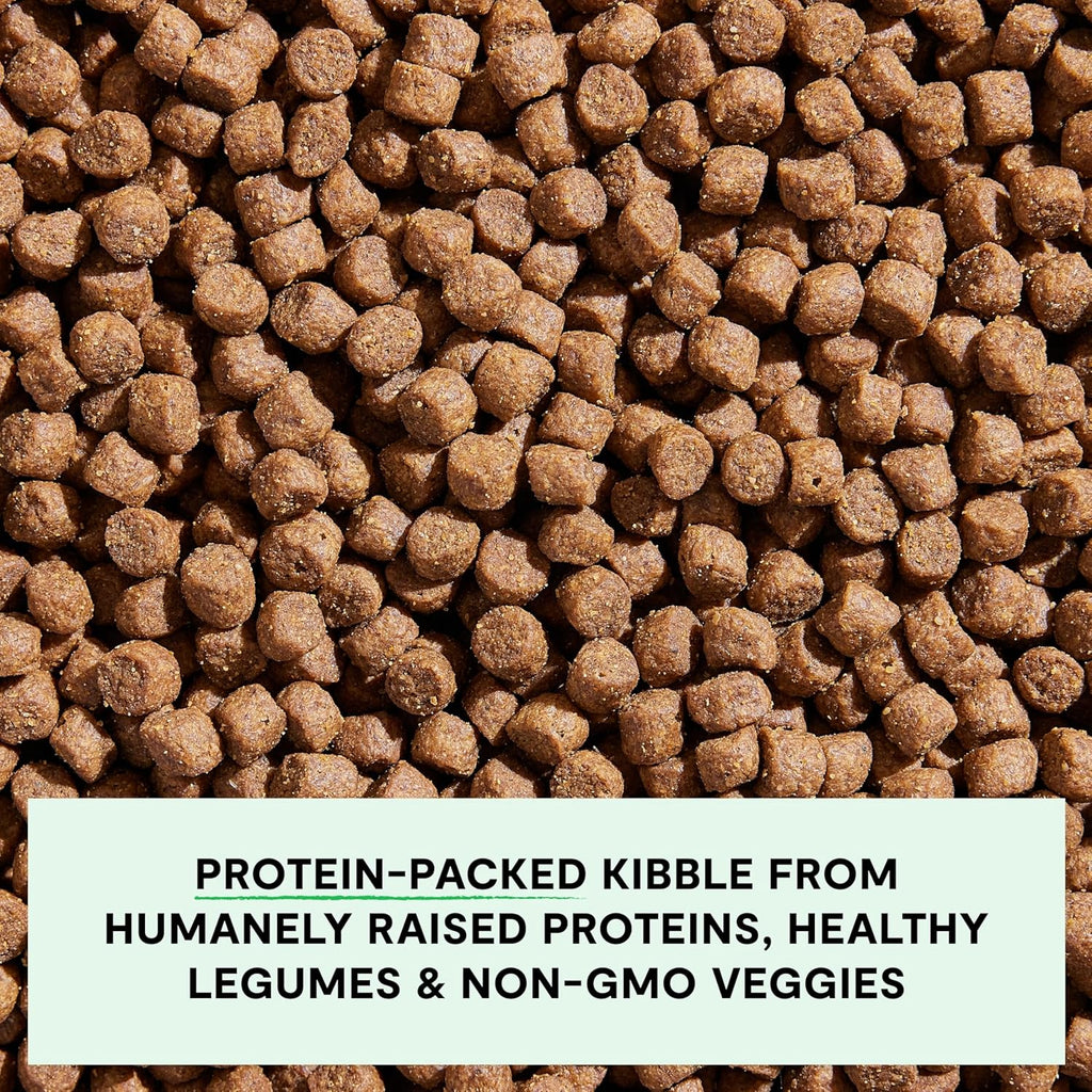 Grain Free Dry Dog Food, Grass-Fed Beef Kibble, 4lb Bag