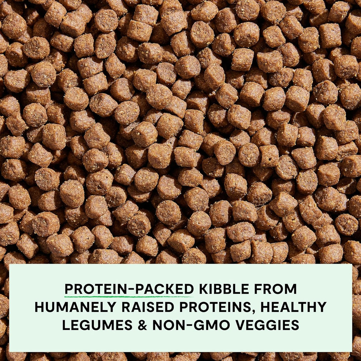 Grain Free Dry Dog Food, Grass-Fed Beef Kibble, 4lb Bag