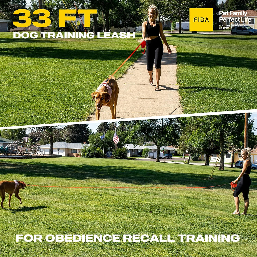 Obedience Recall Training Agility Lead, 30FT Long Dog Leash, Orange