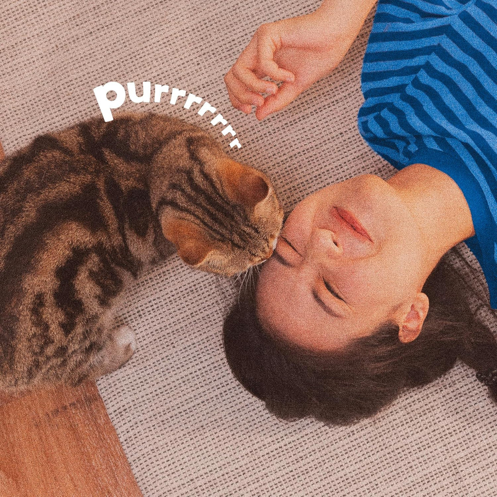 Plus Flea and Tick Prevention Spot On for Cats, 3 Pack