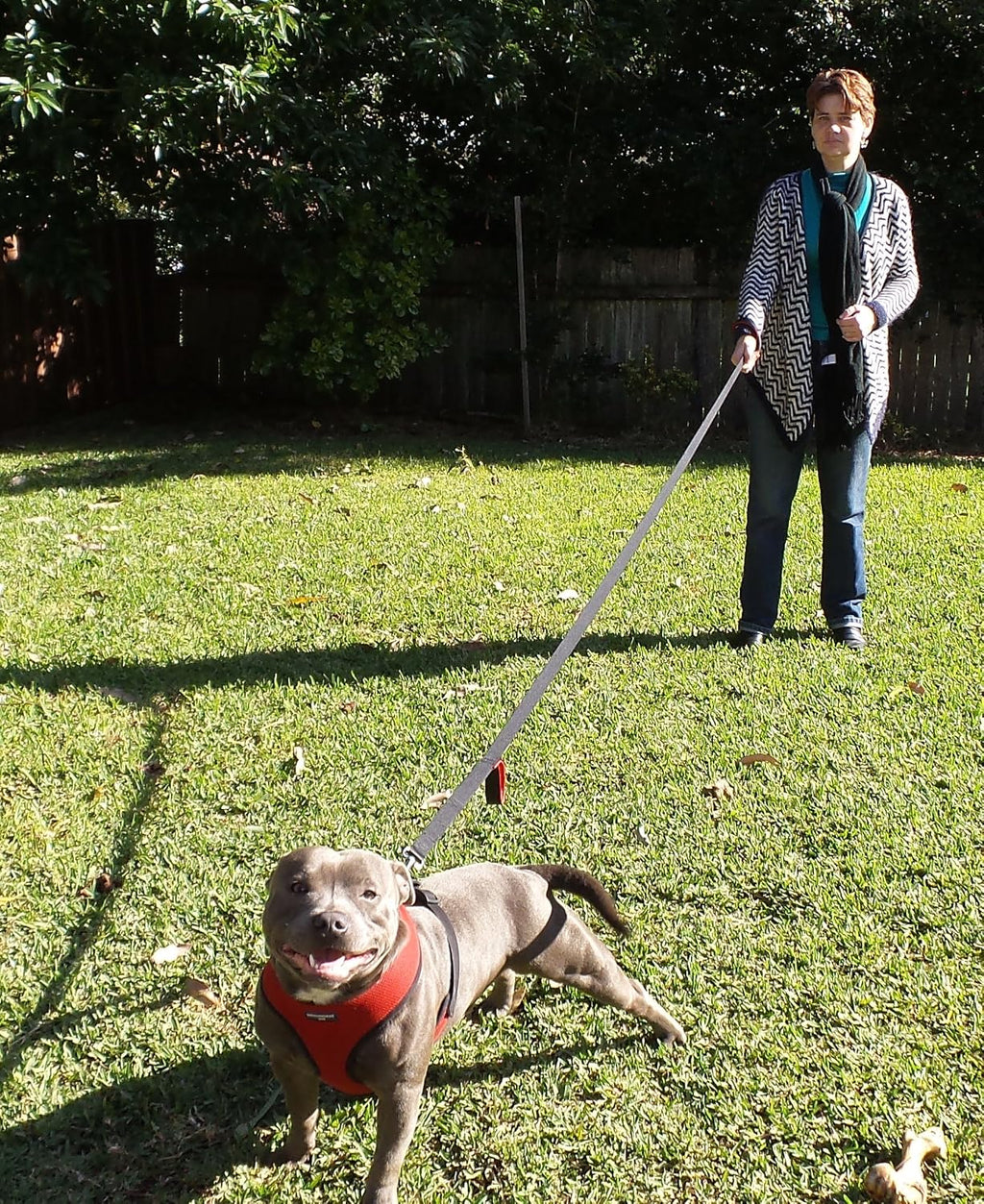Dog Leash 8ft Long - Black - Traffic Padded Two Handle - Heavy Duty - Double Handles Lead for Control Safety Training