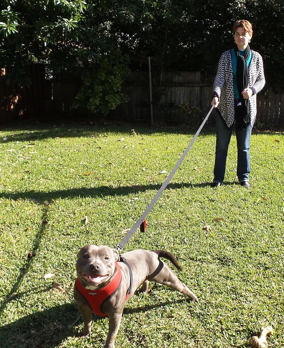 Dog Leash 8ft Long - Black - Traffic Padded Two Handle - Heavy Duty - Double Handles Lead for Control Safety Training