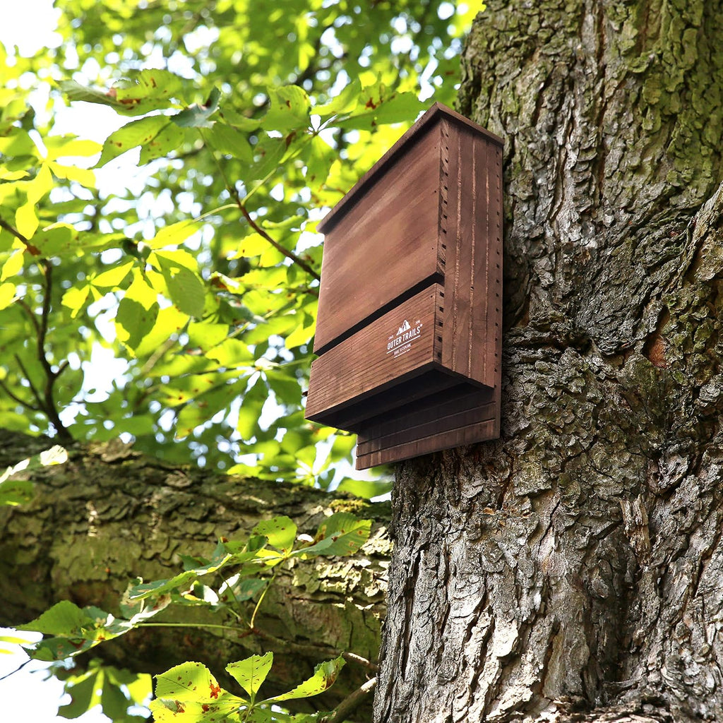 Bat House for Outdoors, Japanese Cedar, 2 Chamber, Brown