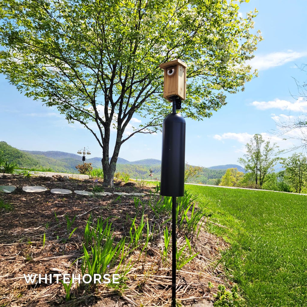 Bird House Pole with Baffle- A Professional Squirrel Proof Bird Feeder Pole - Very Sturdy Against Strong Winds - Bird