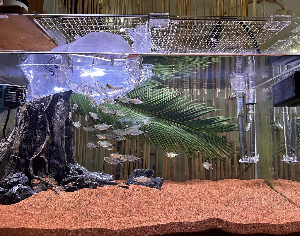 11lb Natural South American Rainforest Sand, Aquarium red Sand, Lava Rock Soil, Red Lava Rock Sand, Succulent Sand