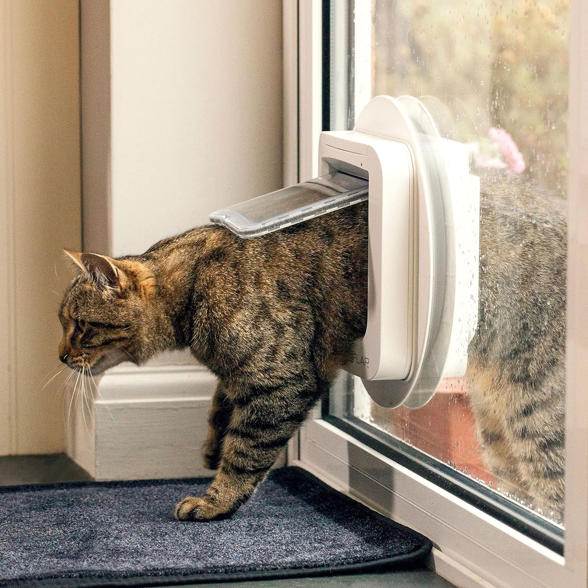 Microchip Cat Flap
