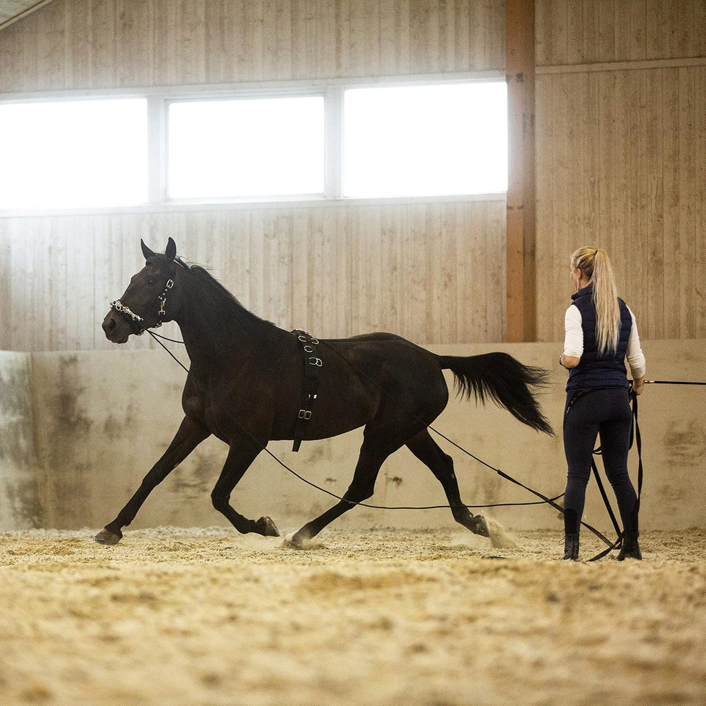 Lunging Surcingle for Horses | Nylon Roller for Training - Black - Horse