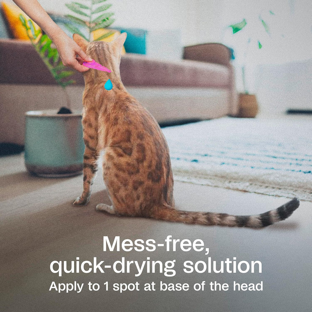 Plus Flea and Tick Prevention Spot On for Cats, 3 Pack