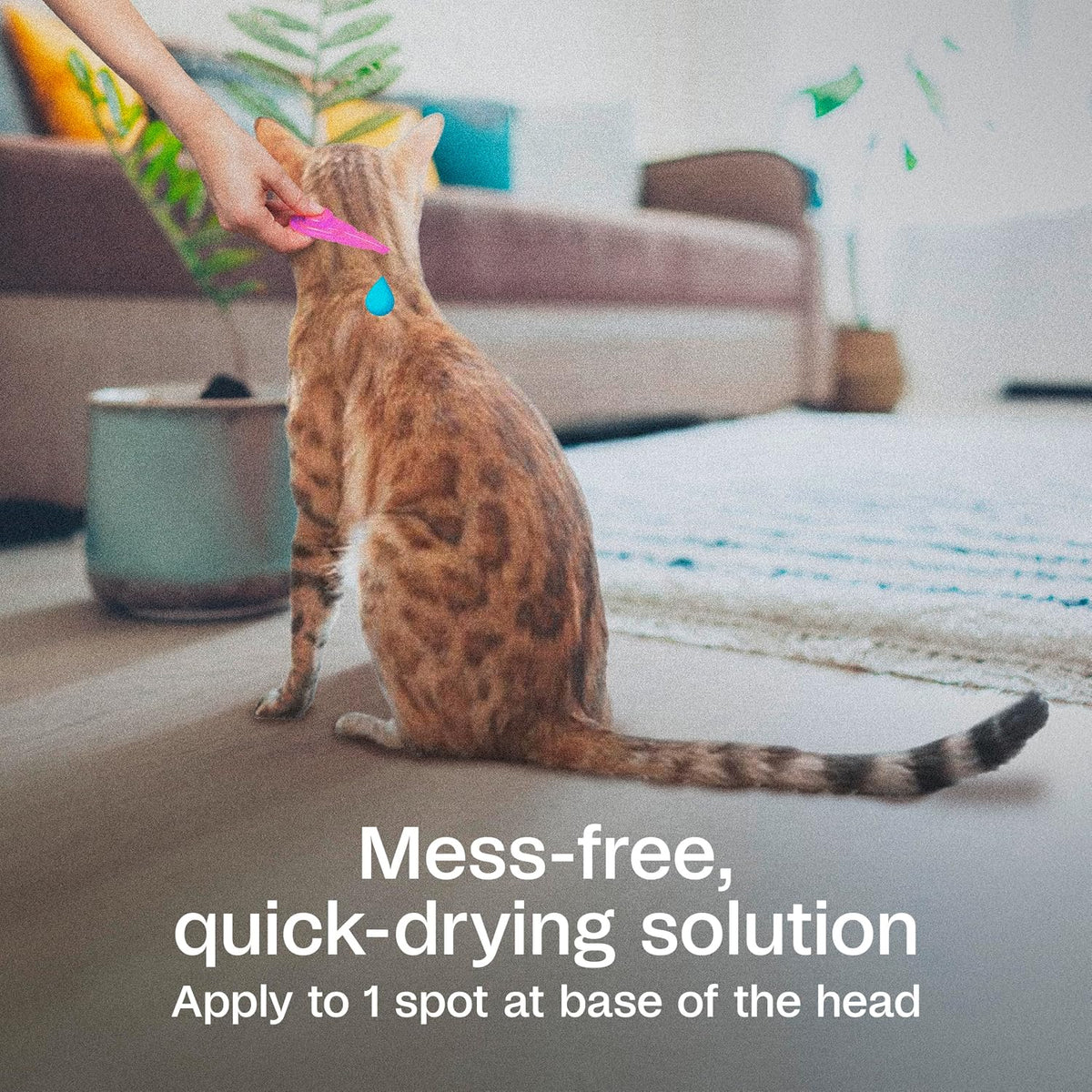 Plus Flea and Tick Prevention Spot On for Cats, 3 Pack