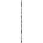 Lunge Whip