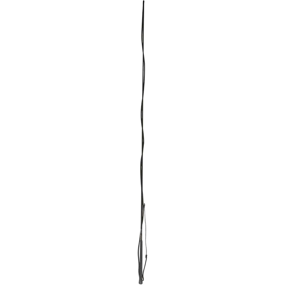 Lunge Whip