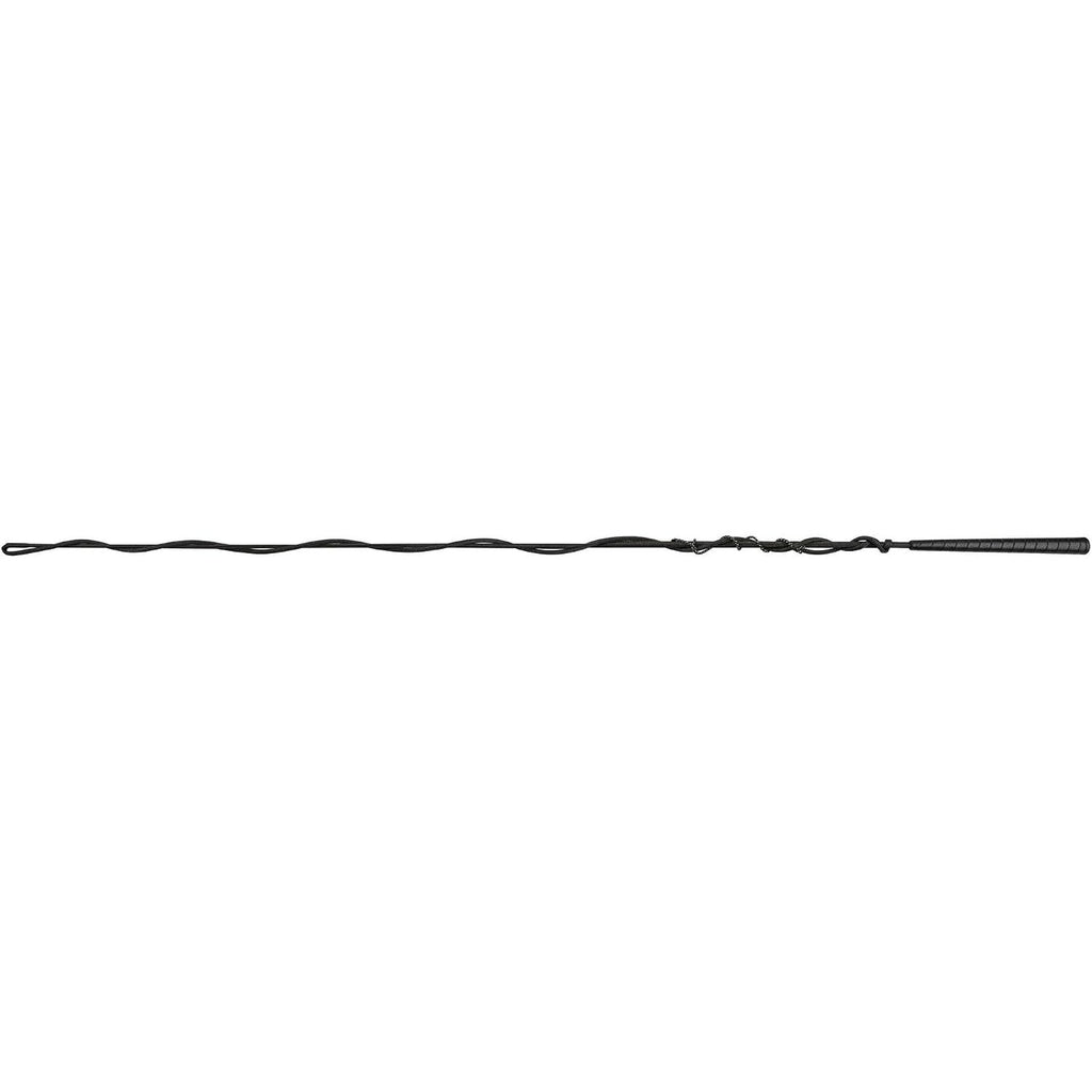 Short Lunge Whip