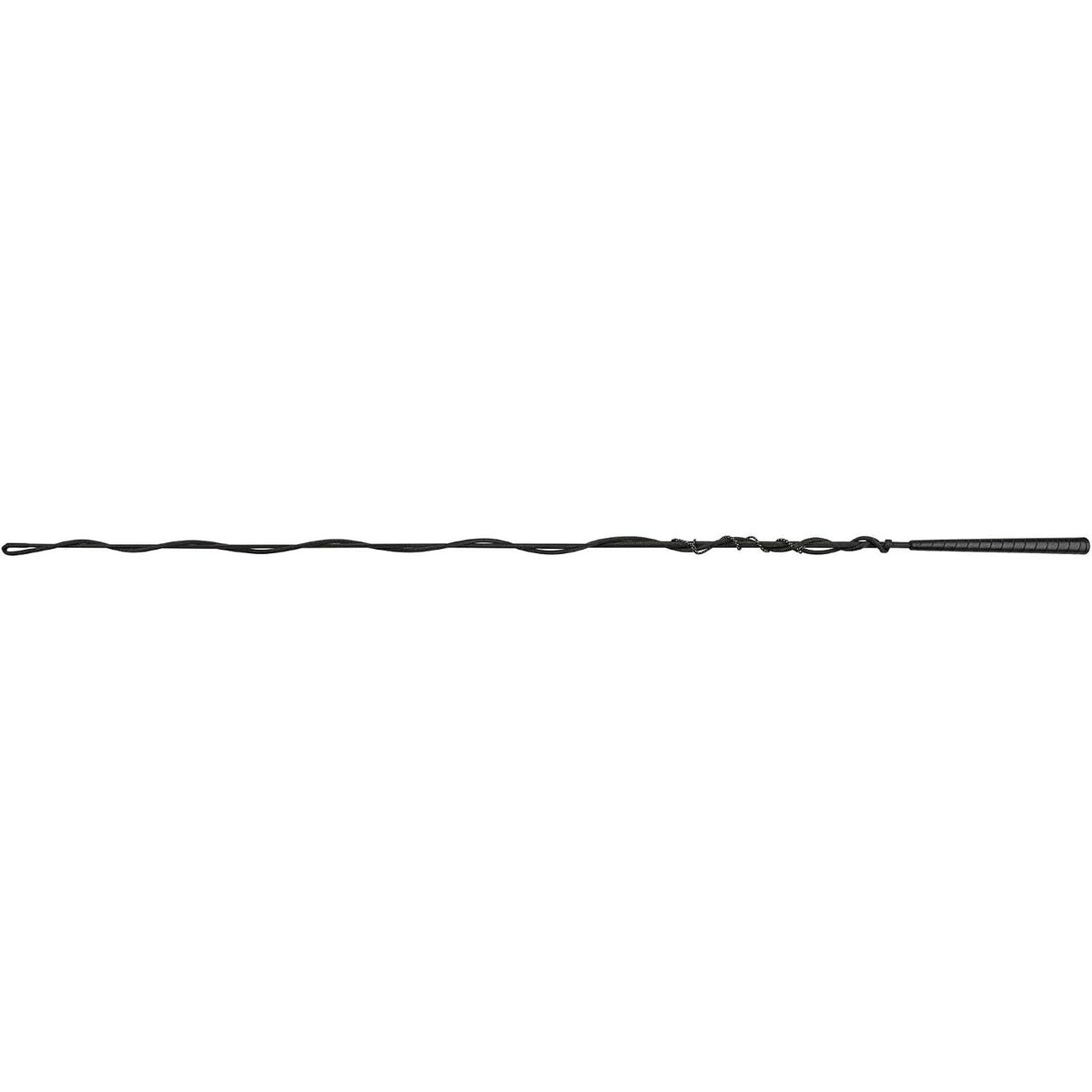Short Lunge Whip